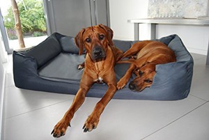 Tierlando Goofy Visco orthopädisches Hundebett